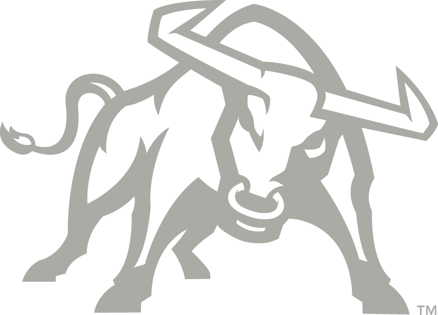 Utah State Aggies 2012-Pres Alternate Logo v4 iron on transfers for fabric